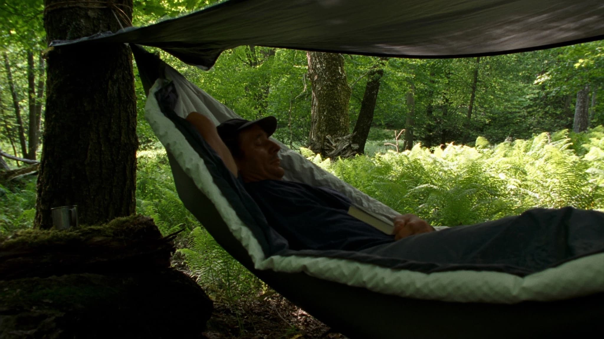 Hammock Camp