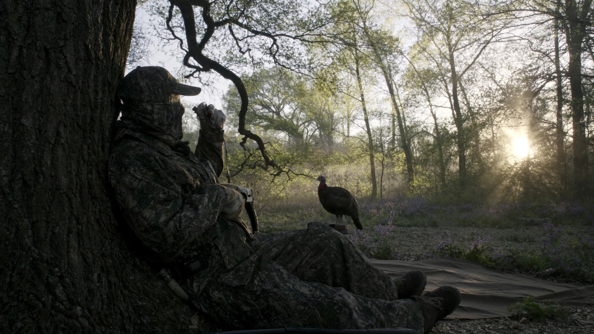 Spring Turkey