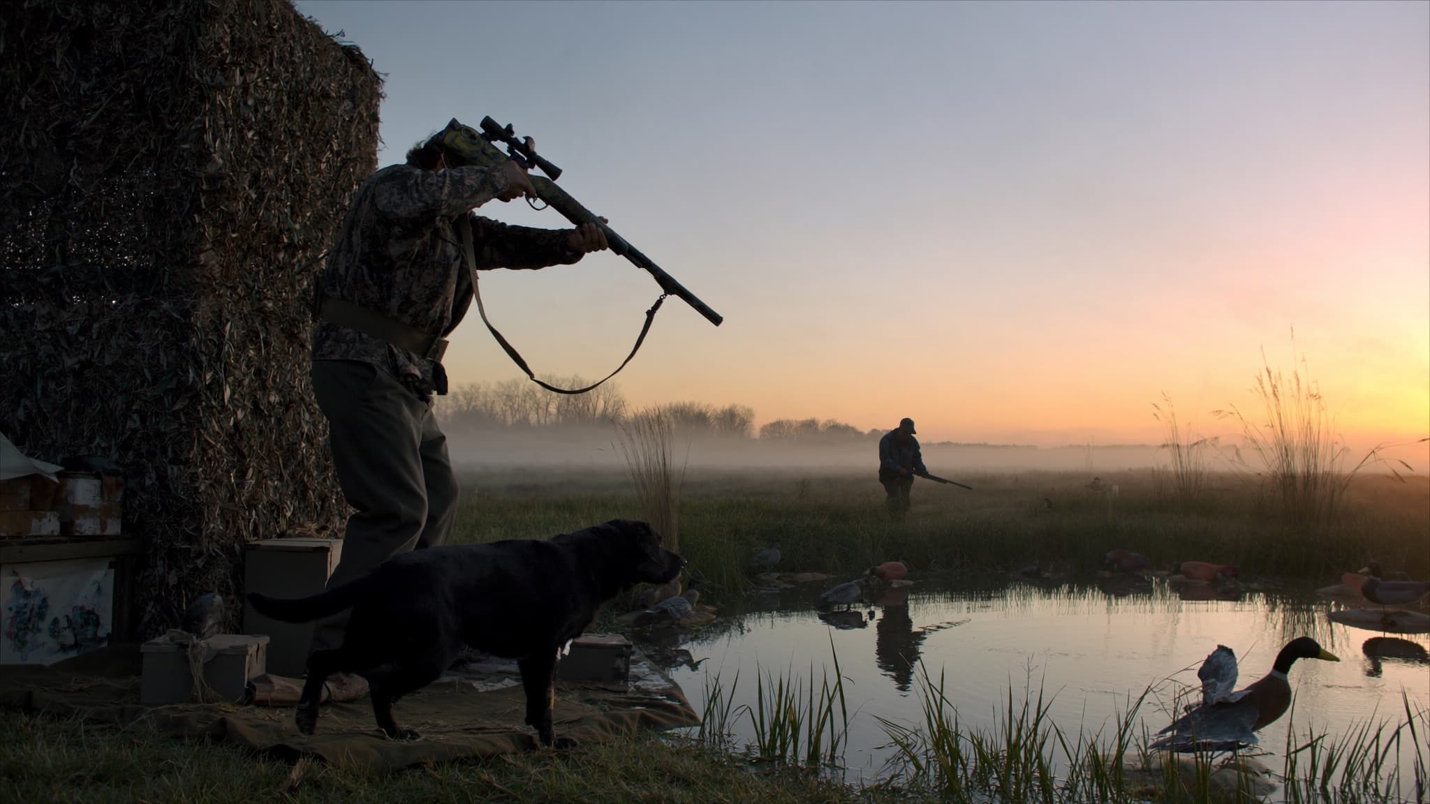 Waterfowl