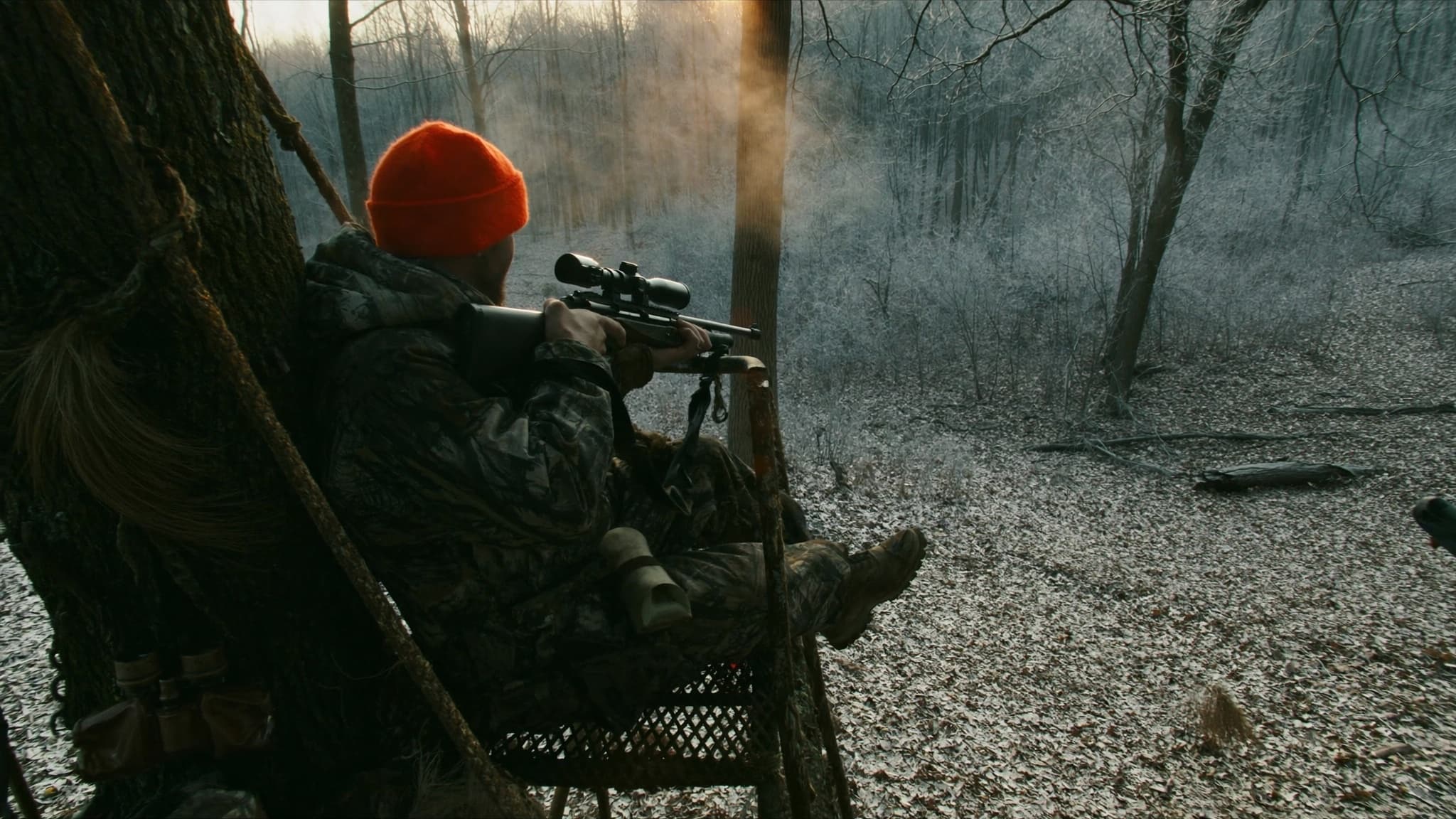Whitetail