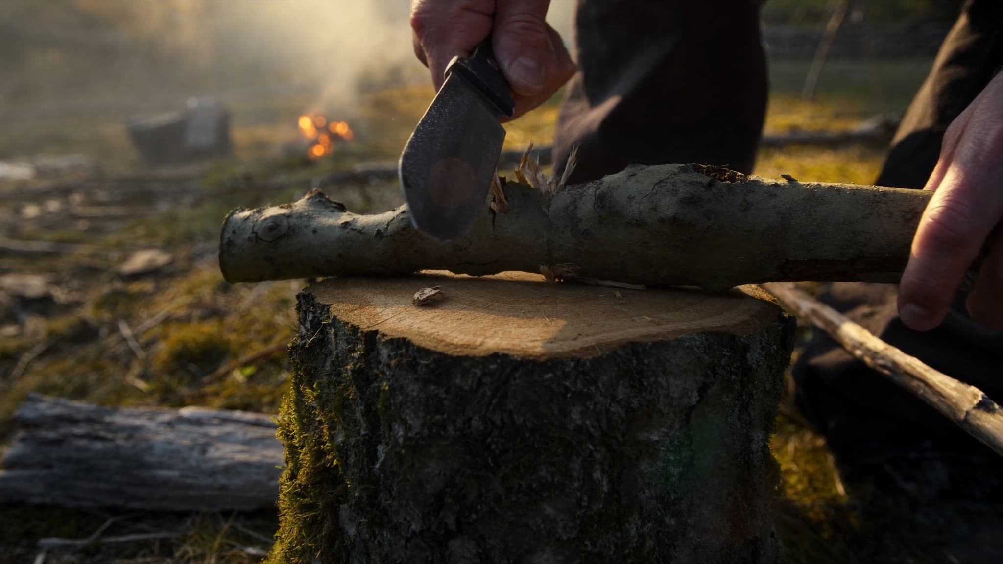 Bushcraft
