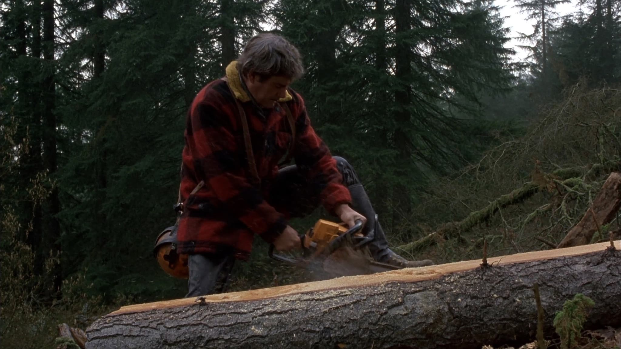 Logger