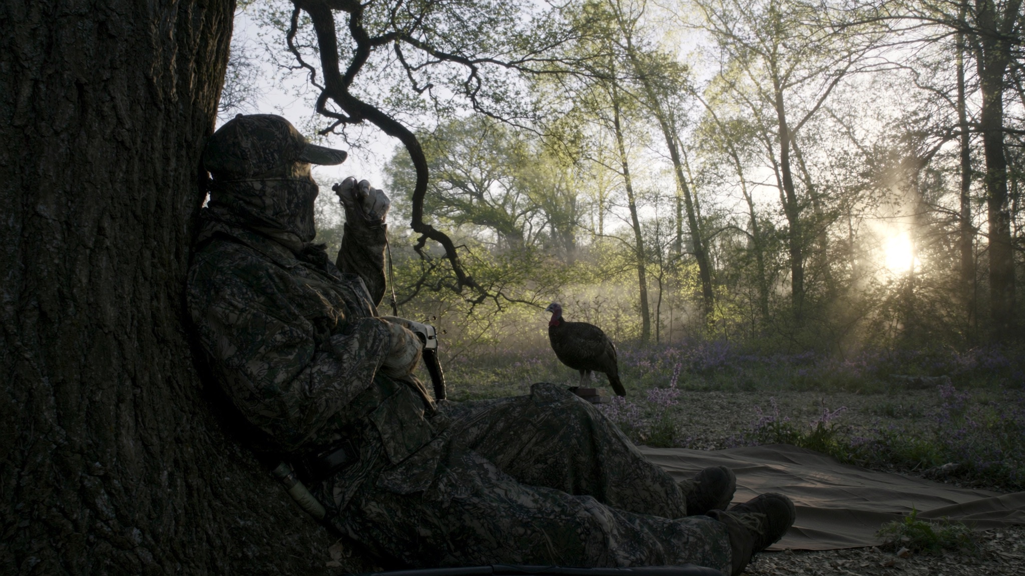 Spring Turkey
