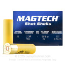 20 Gauge - 2-3/4" 13/16oz. F Shot - Magtech - 250 Rounds